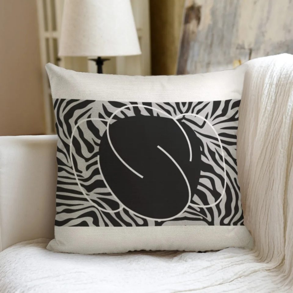 couch pillow